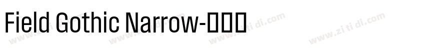 Field Gothic Narrow字体转换